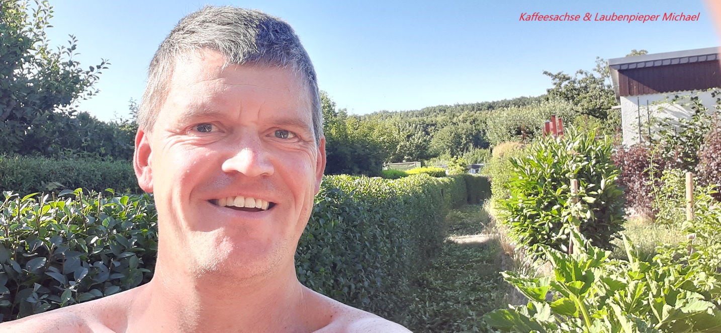 Kaffeesachse ist Heckenmeister im Garten